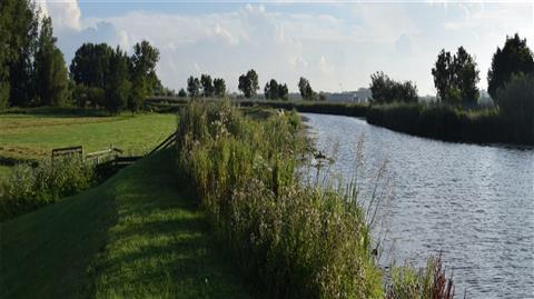 Zwier in Vinkeveen, NL