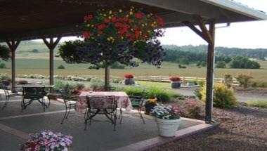 Laurel Ridge Winery in Carlton, OR