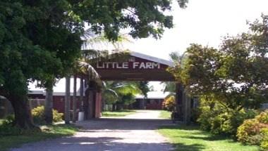 The Little Farm in Miami, FL