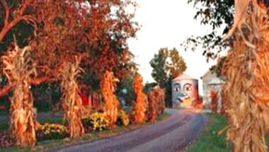 Curtis Orchard and Pumpkin Patch in Champaign, IL