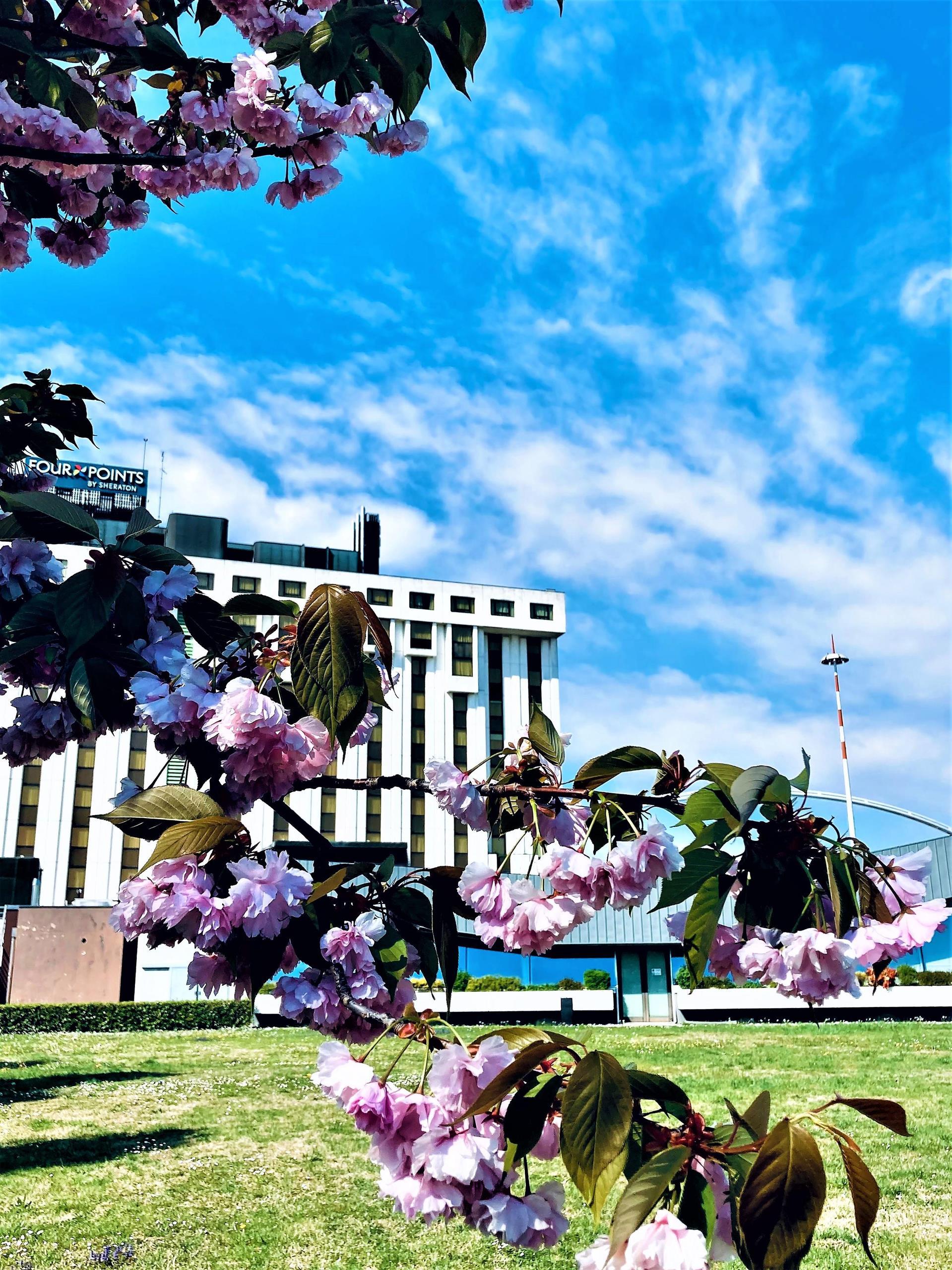 Four Points by Sheraton Padova in Padova, IT