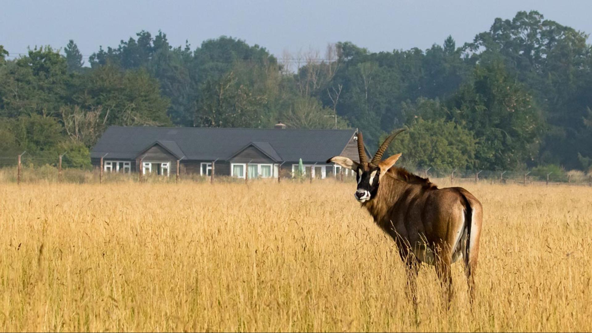 Watatunga Wildlife Reserve in Watlington, GB1