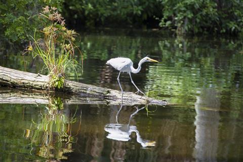 Saddlebrook - Tampa Bay in Wesley Chapel, FL