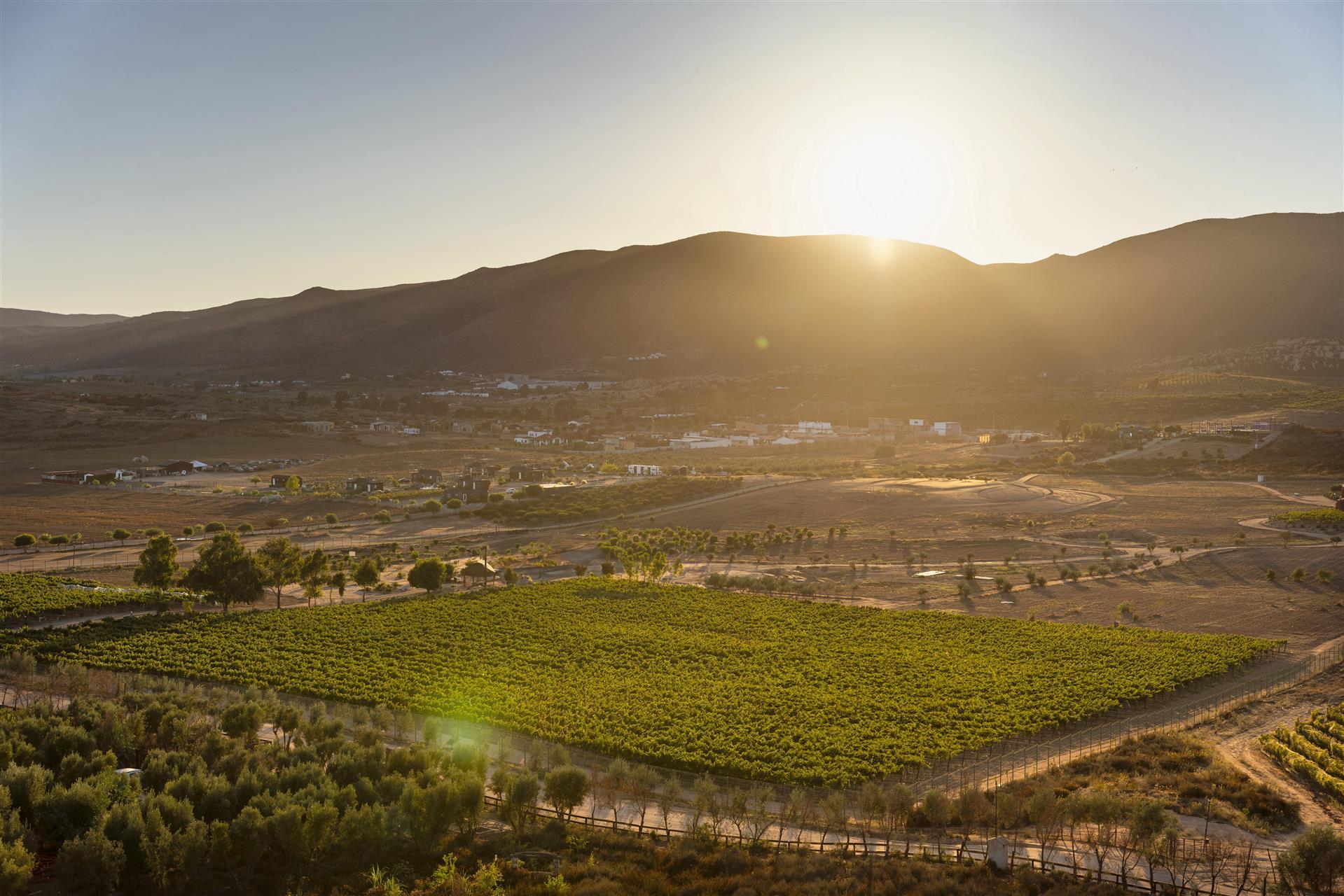 Banyan Tree Veya, Valle de Guadalupe in Ensenada, MX