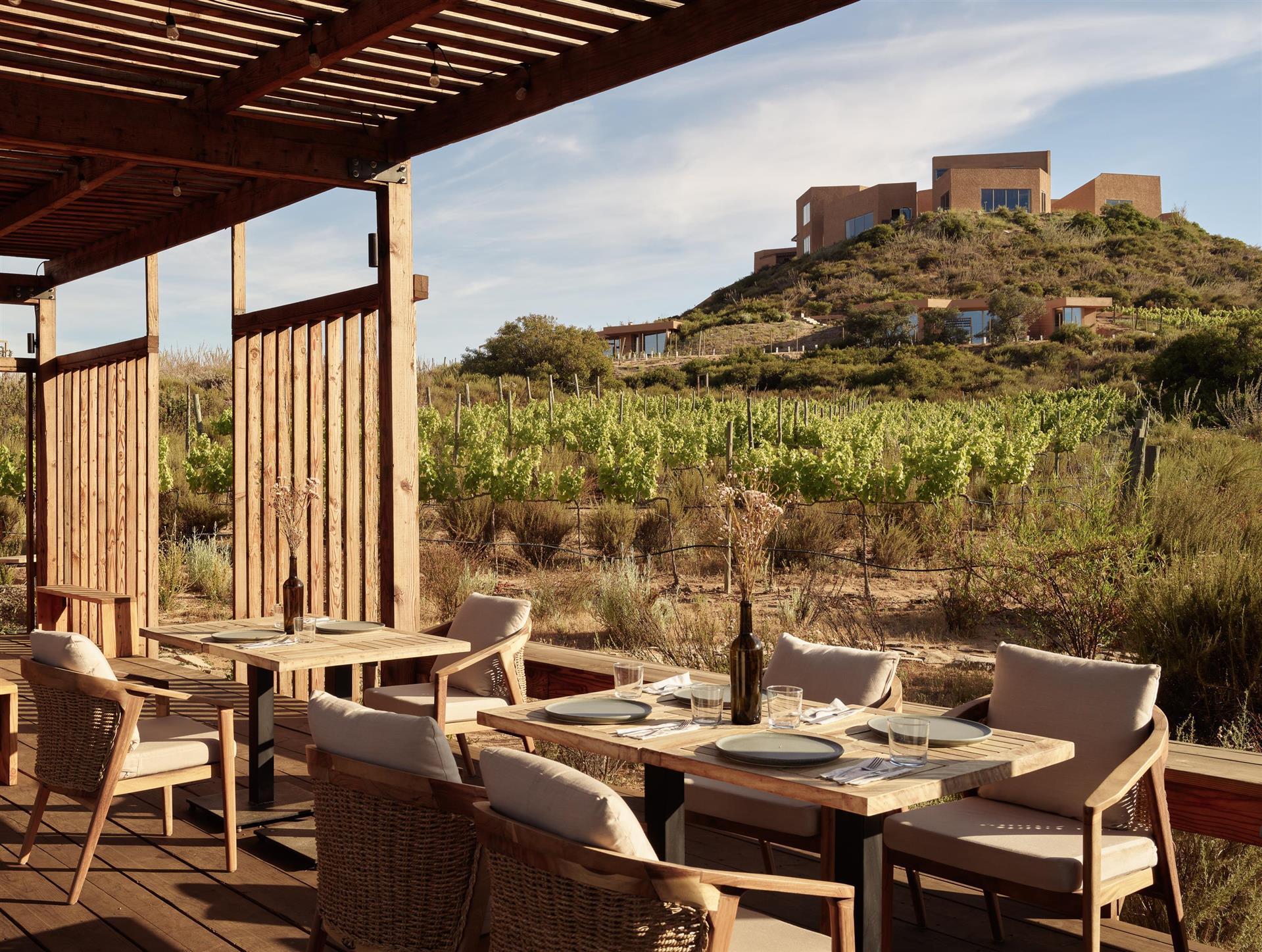 Banyan Tree Veya, Valle de Guadalupe in Ensenada, MX