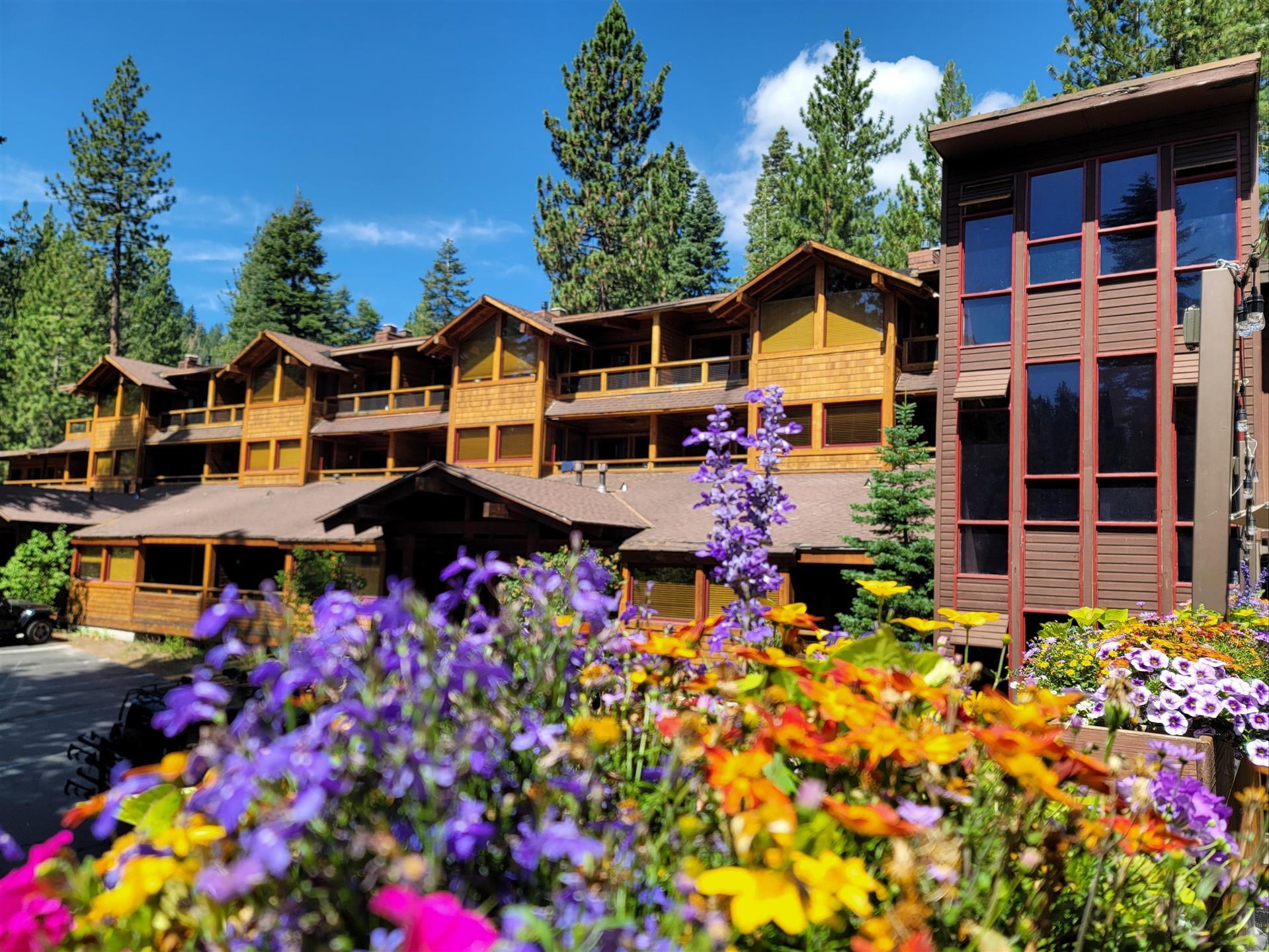 Granlibakken Tahoe in Tahoe City, CA