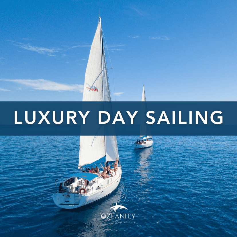 Ozeanity Experiences