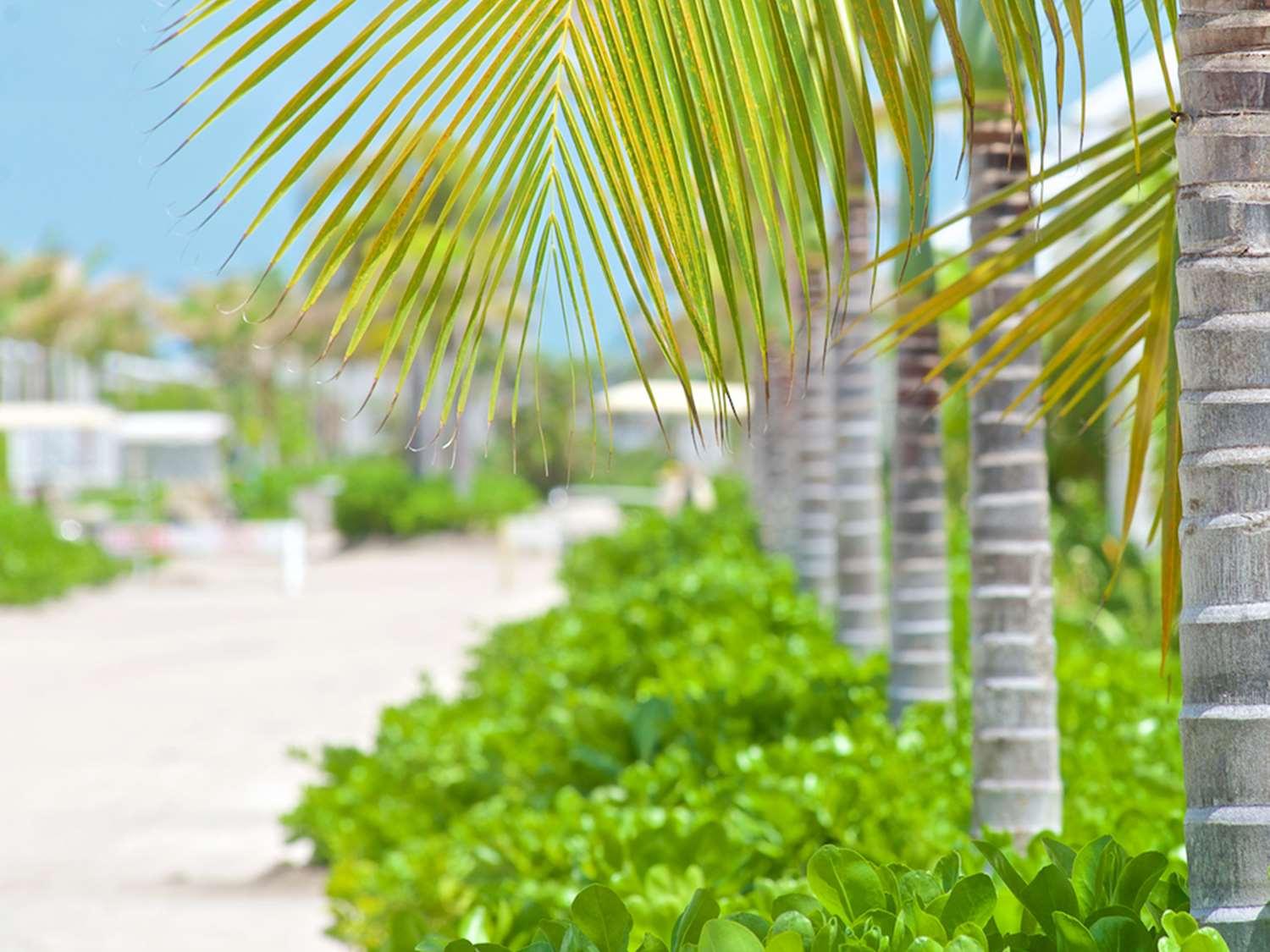 Mahogany Bay Resort & Beach Club, Curio Collection by Hilton in San Pedro Ambergris Caye, BZ