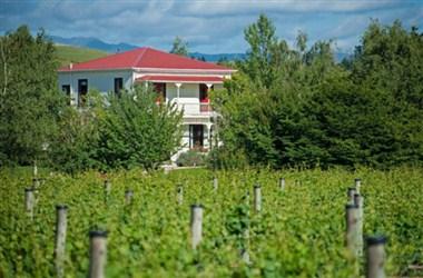 Gladstone Vineyard in Wairarapa, NZ