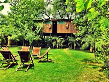 Tree House Resort in Jaipur, IN
