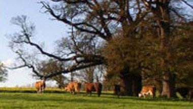 Apley Farm Shop in Shifnal, GB1