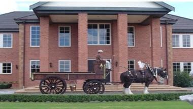 Pirongia Clydesdales in Te Awamutu, NZ