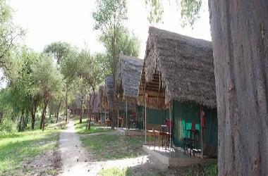 Tarangire Safari Lodge in Arusha, TZ