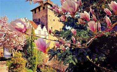 Hotel Schloss Korb in Eppan an der Weinstrasse, IT