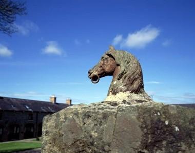 Belle Isle Estate in Enniskillen, GB4