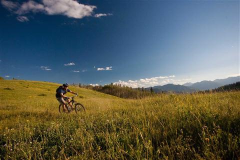 Aspen Chamber Resort Association in Aspen, CO