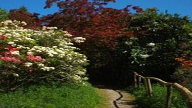 Riverhill Himalayan Gardens in Sevenoaks, GB1