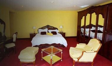 Fitzgeralds Woodlands House Hotel & Spa in Limerick, IE