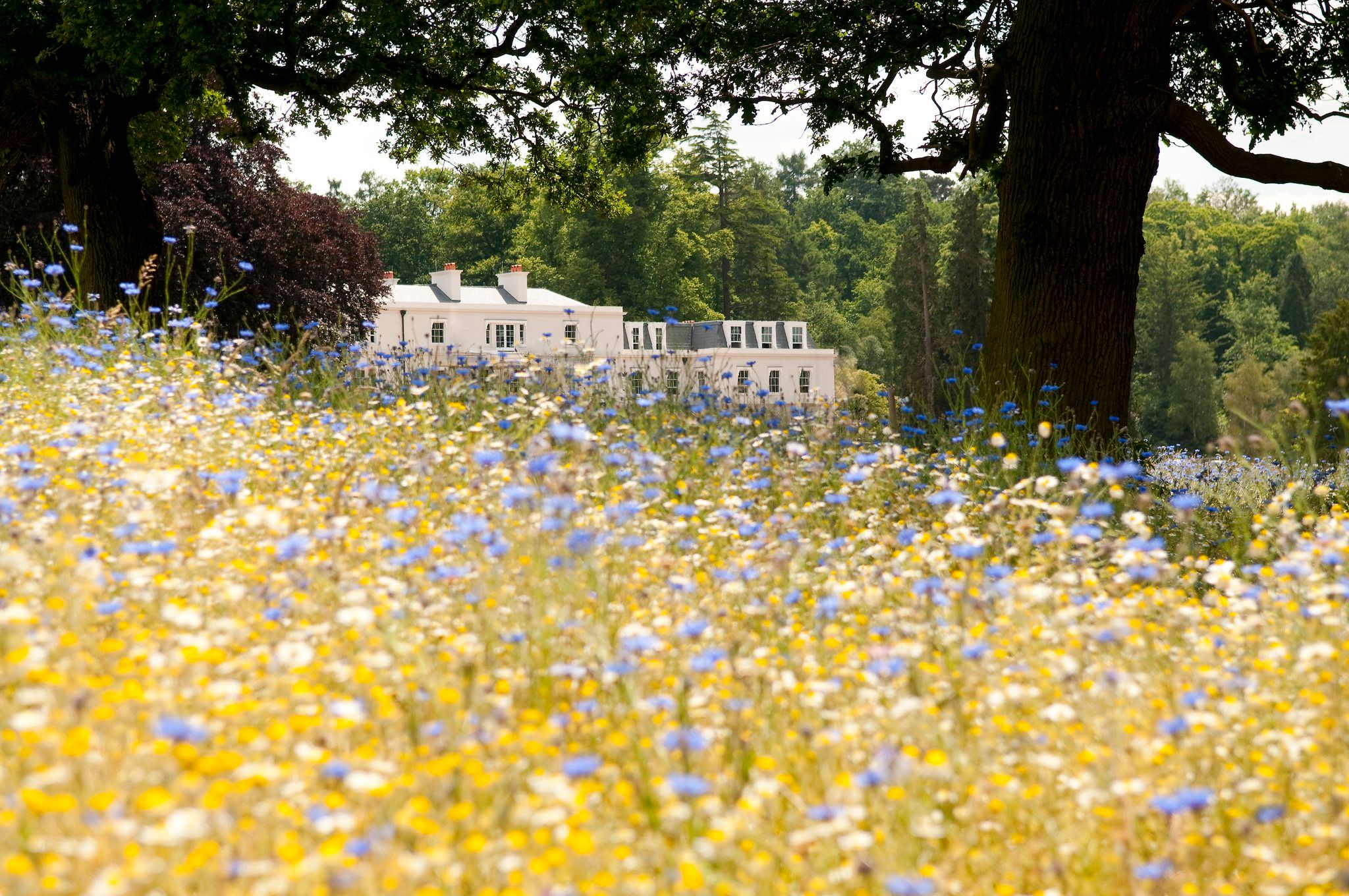 Tapahtumapaikan kuva