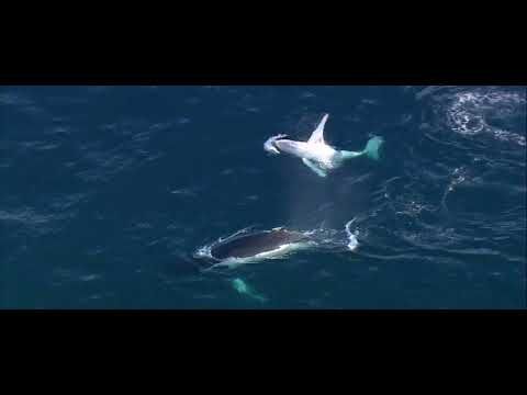 Bild des Veranstaltungsortes