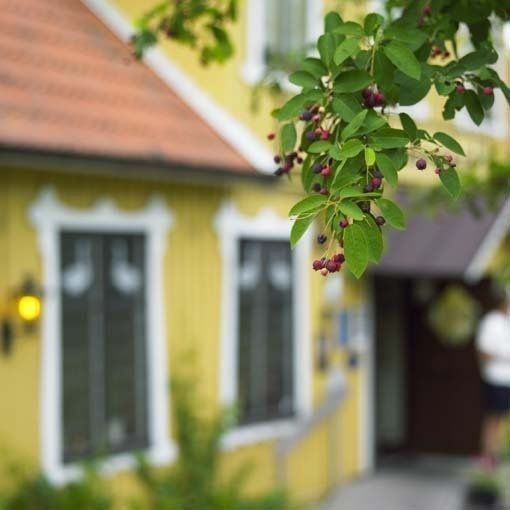 Bild des Veranstaltungsortes