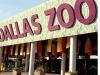 Dallas Zoo