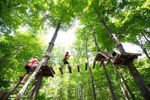 Treetop Trekking
