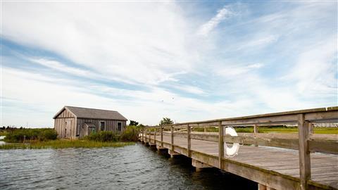 Das Wetlands Institute