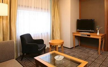 Hotel Castle, Yamagata, JP