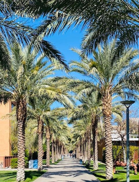 Arizona State University
