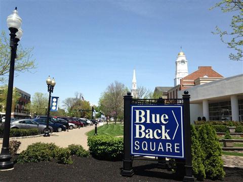 Blauw zwart vierkant