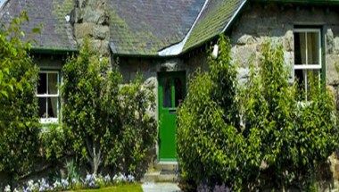 Afbeelding van locatie