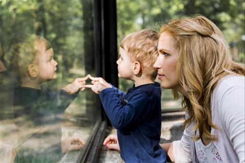 Hotels in der Nähe von Happy Hollow Park and Zoo