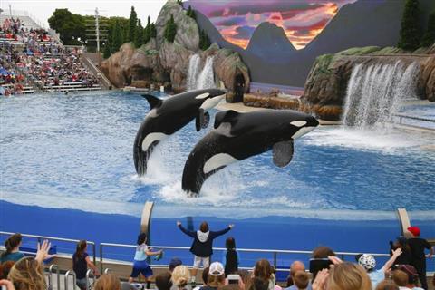 SeaWorld Parks & Entertainment