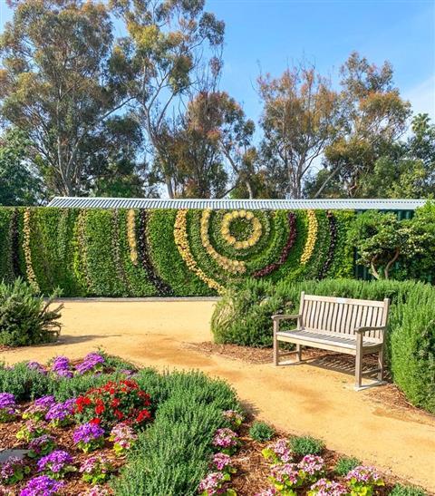 Jardín Botánico de la Costa Sur