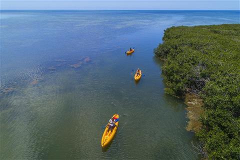Kayaking From Oceans Edge's Marina