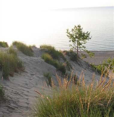 Hammond, IN의 South Shore Convention & Visitors Authority