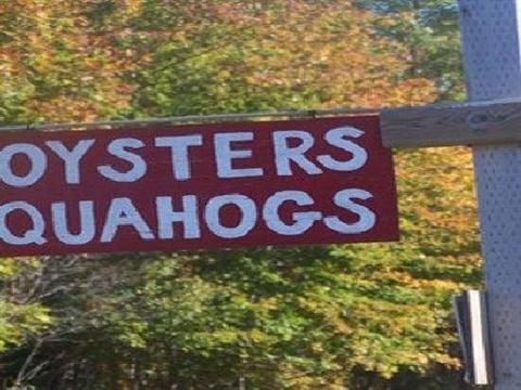 Bay Enterprises Oyster & Clam "Tasteful Adventures"