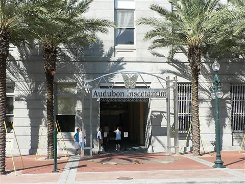 Insectarium Audubon