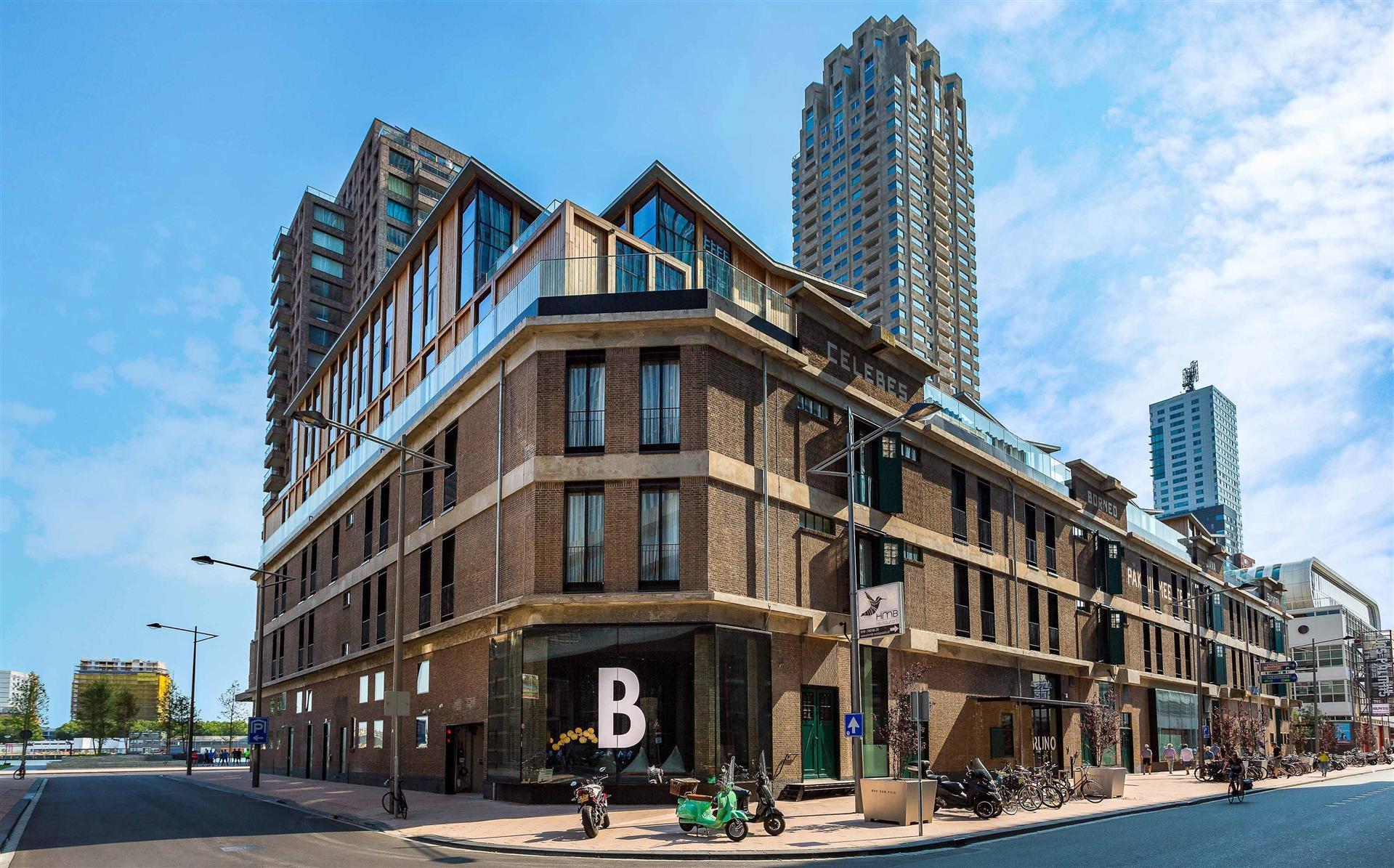 Room Mate Bruno image