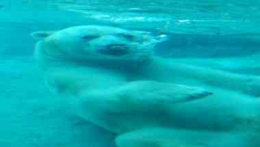 Toronto Zoo, Scarborough, ON