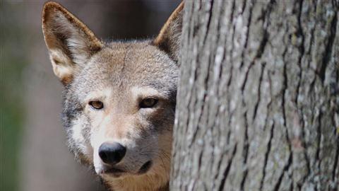 Arboretum et centre naturel Reflection Riding