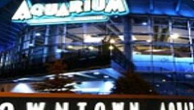 Denver, CO의 Downtown Aquarium - Denver