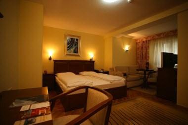 Hotel Pahuljica i Pale, BA