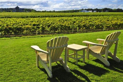 Niagara Wine Region
