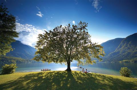 Lake Bohinj