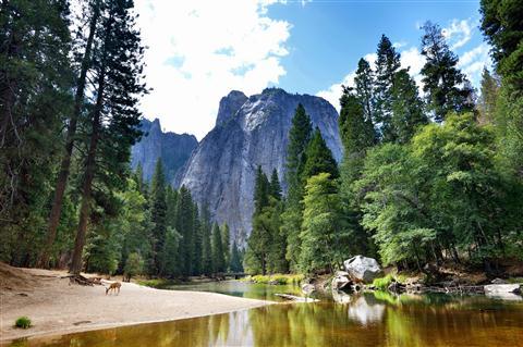 Parque Nacional de Yosemite