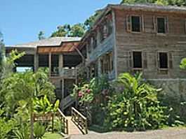 Roseau, DM 的 Jungle Bay Resort & Spa