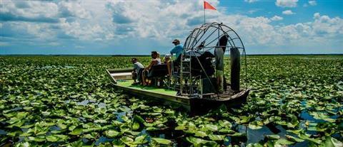 Wild Willy's Airboat Tours