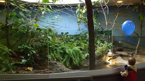 Centre naturel de Belle Isle